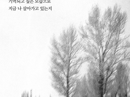 12월28일 화요일, 누가복음 21장