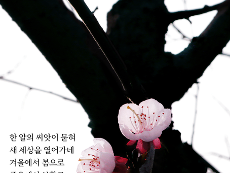 마가복음 16장, 4월18일 월요일