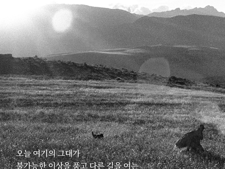 레기위 5장, 6월6일 월요일