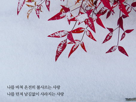 아가서 5장-6장, 1월29일 금요일
