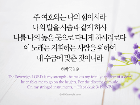 하박국 3장, 7월28일 수요일