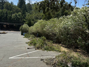 열왕기하 21 : 1~9, 2024.08.09 (금)