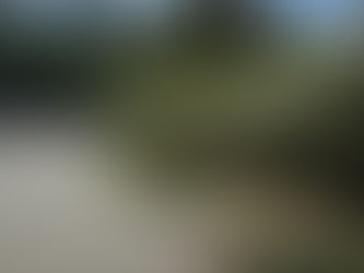 열왕기하 21 : 1~9, 2024.08.09 (금)