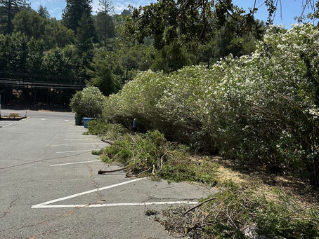 열왕기하 21 : 1~9, 2024.08.09 (금)