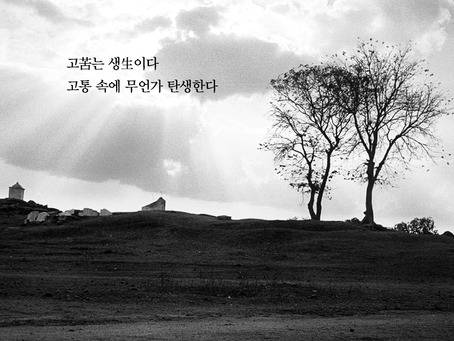 디모데후서 1장, 9월6일 월요일