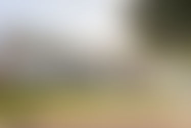 A Musical Journey: The National Music Museum | SDPB Documentary