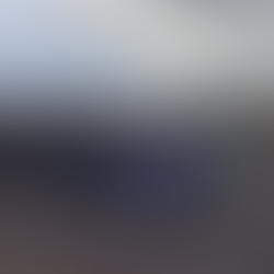 Tussac Planting on Middle Island 