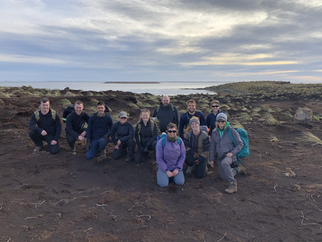 Tussac Planting on Middle Island 