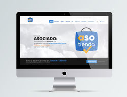 Website