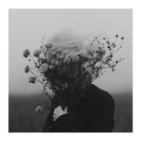 dreamy flowers