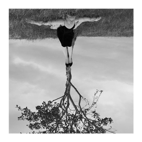 an upside down image of a woman on her back and a tree emerges from her feet, like roots from a tree