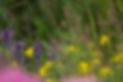NicoleHeadshots (255 of 306).jpg