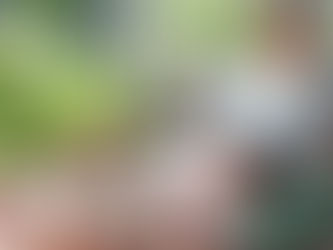 次世代省エネ建材の実証支援事業とは？〜2025年度の募集に向けた完全ガイド〜