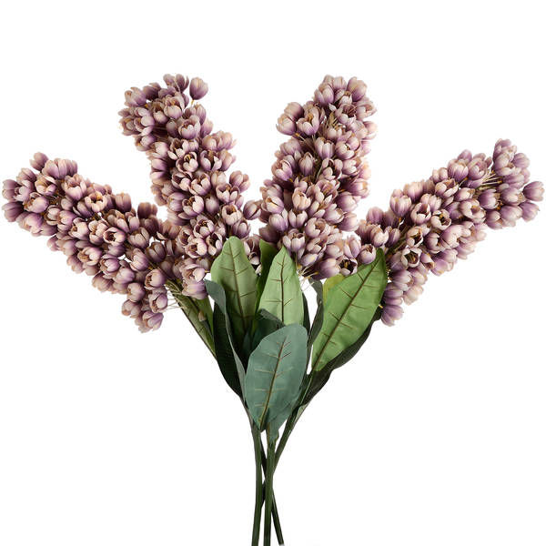 Thumbnail: Phoenix Flower