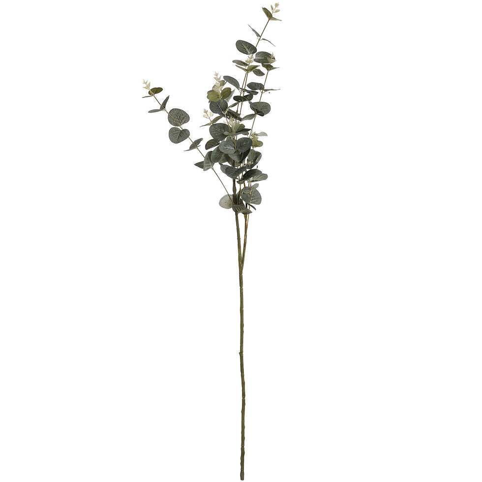 Thumbnail: Individual Eucalyptus Stem 