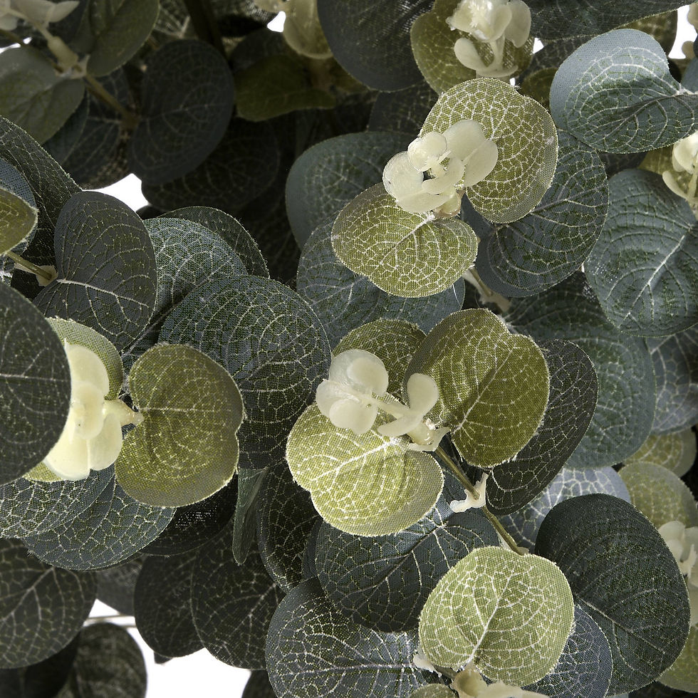 Thumbnail: Individual Eucalyptus Stem 