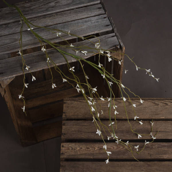Thumbnail: White Willow Spray