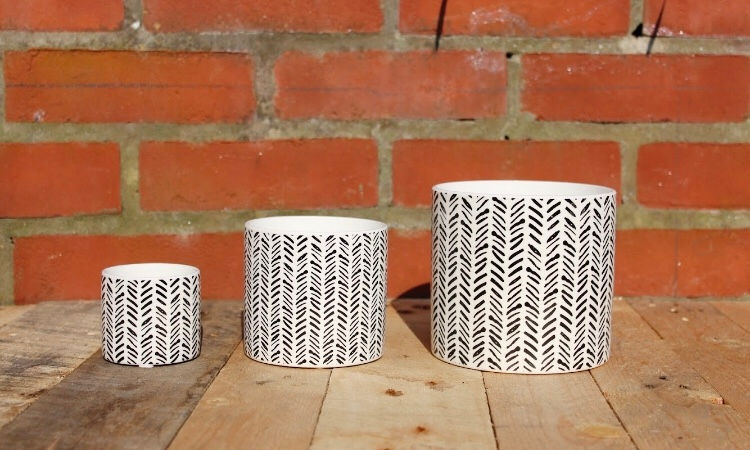 Thumbnail: Contemporary Planters, Set 3