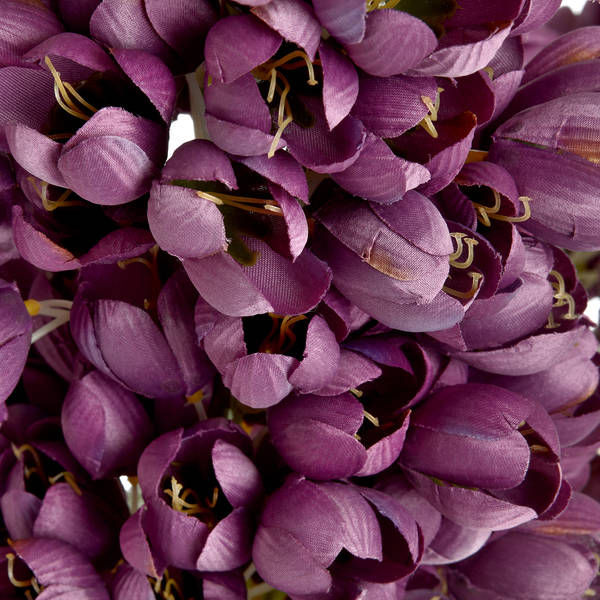Thumbnail: Phoenix Flower