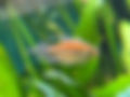 9D19CED5-248D-4C41-9569-0534D9F0D11D.jpeg