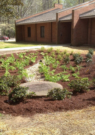 rain gardens 1.jpg