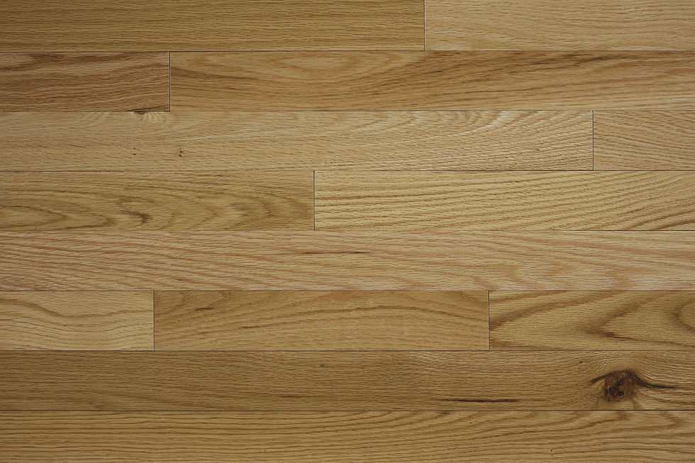 Thumbnail: Maine Traditions Pro Series Red Oak Clear