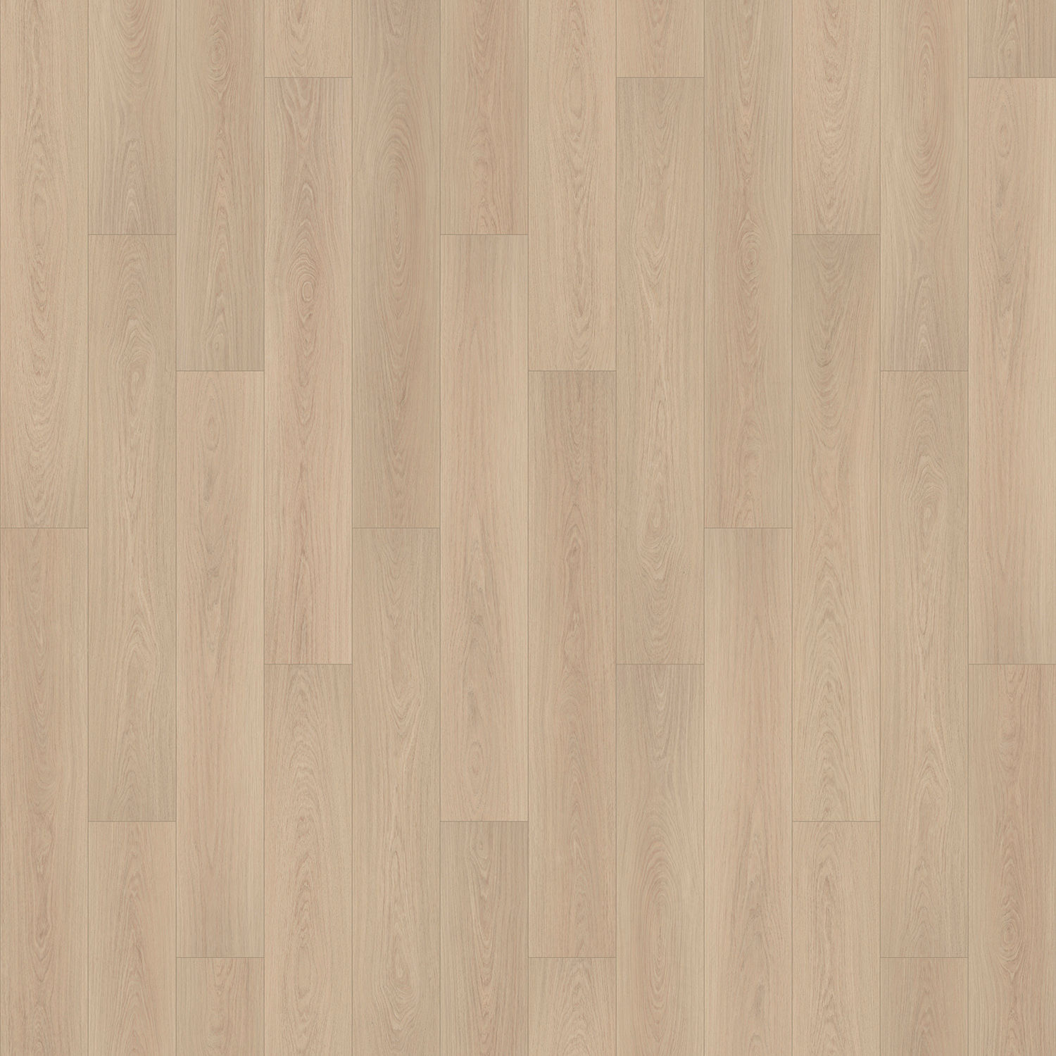 Hallmark 9" Courtier Oak Charlemagne