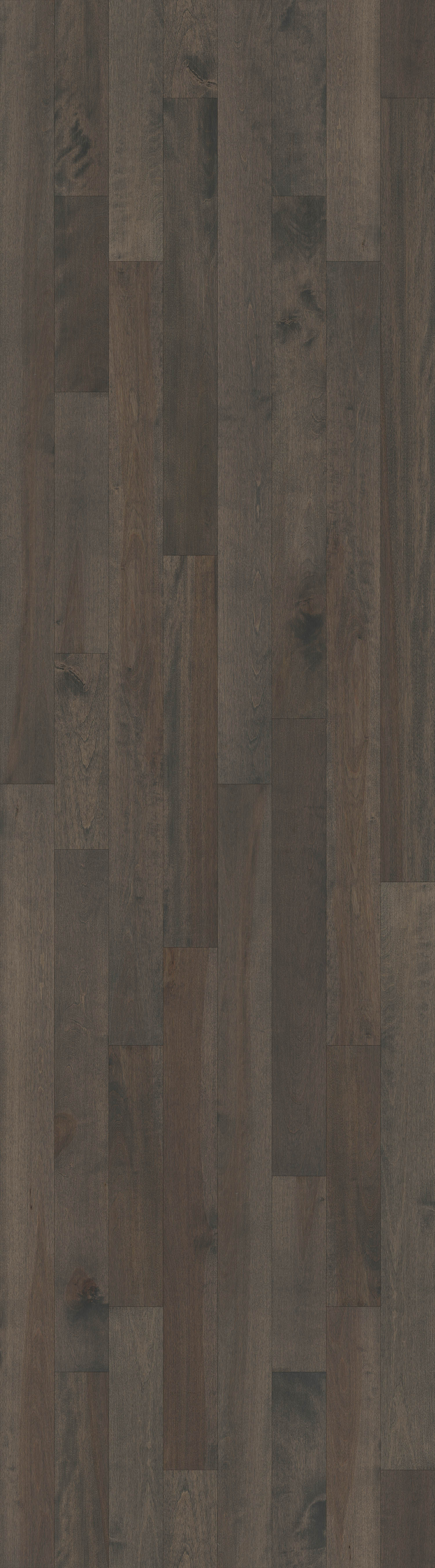 Whisper Creek Coastal Grade Yellow Birch Slate 5" x 3/4"