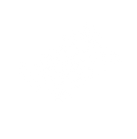 Logo Limón Soda.png
