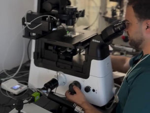 Who Should Have PGT Performed for Their Embryo(s)?