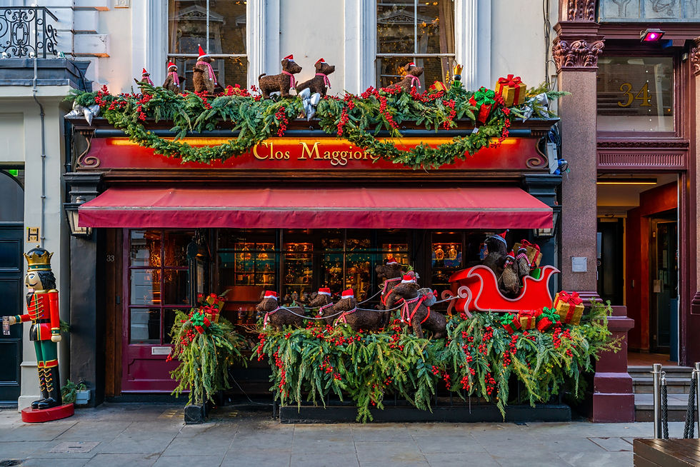 A Feast for the Festive Season