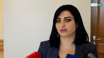 Սահմանազատման գործընթացը մեզ ձեռնտու չէ․ դա նշանակում է` փակել Արցախի վերջին դուռը. Թովմասյան