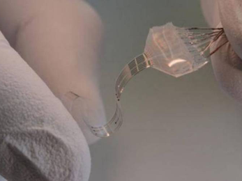 Ստեղծել են ողնուղեղի իմպլանտատ