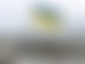 Ուկրաինական լրատվամիջոցները հայտնում են Կիևում, Կրամատորսկում և Օդեսայում պայթյունների մասին