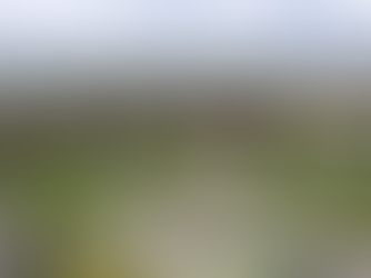 ՊՆ-ն ու ԳՇ-ն ղեկավարող անձինք զբաղված են լրիվ այլ բնույթի աշխատանքներով․ պատգամավոր