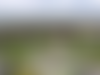 ՊՆ-ն հայտարարություն է տարածել