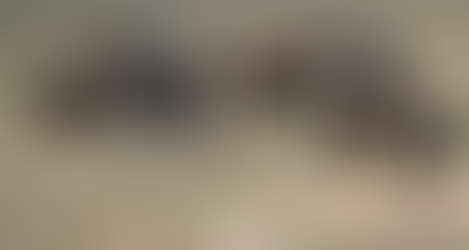 44-օրյային Քարվաճառից գտած «ТОЗ-8»-ն ապօրինի պահելու քրգործով ՔԿ-ն նոր մանրամասներ է հայտնել 