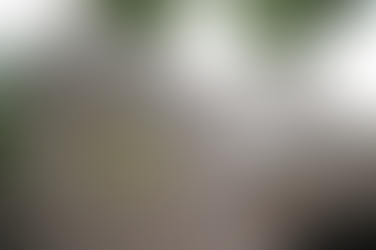 Շմոլ գազի արտահոսքի պատճառով ընտանիքի չորս անդամների թունավորման դեպքով հարուցվել է քրգործ․ ՔԿ