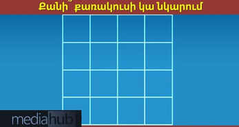 ԹԵՍՏ․ Փորձեք հաշվել, թե քանի քառակուսի է պատկերված նկարում