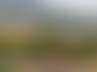 Տավուշում հերթական հանձնմանն են պատրաստվում. «Հրապարակ»