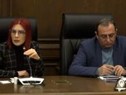 Փաշինյանը փորձում էր շատ լավ փաստաբանի ֆունկցիա կատարել Էրդողանի և Ալիևի համար. Ագնեսա Խամոյան