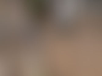 Պերուում հորդառատ անձրևները զգալի վնաս են հասցրել Մաչու Պիկչու քաղաքին