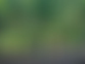 4月のお便り~予約受付が始まります~ #00024