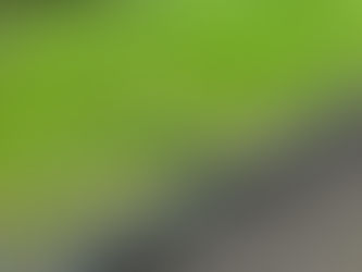 11月のお便り～今季の玉ねぎの販売は終了です～#00020