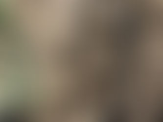 3月のお便り~春到来~ #00023