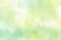 istockphoto-1329960632-612x612 (1).jpg