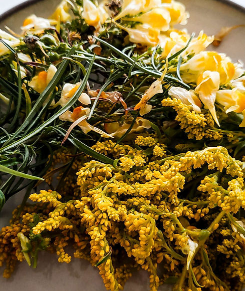 20220820_161300 (1).jpg