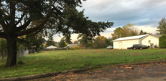 Cottag Village site