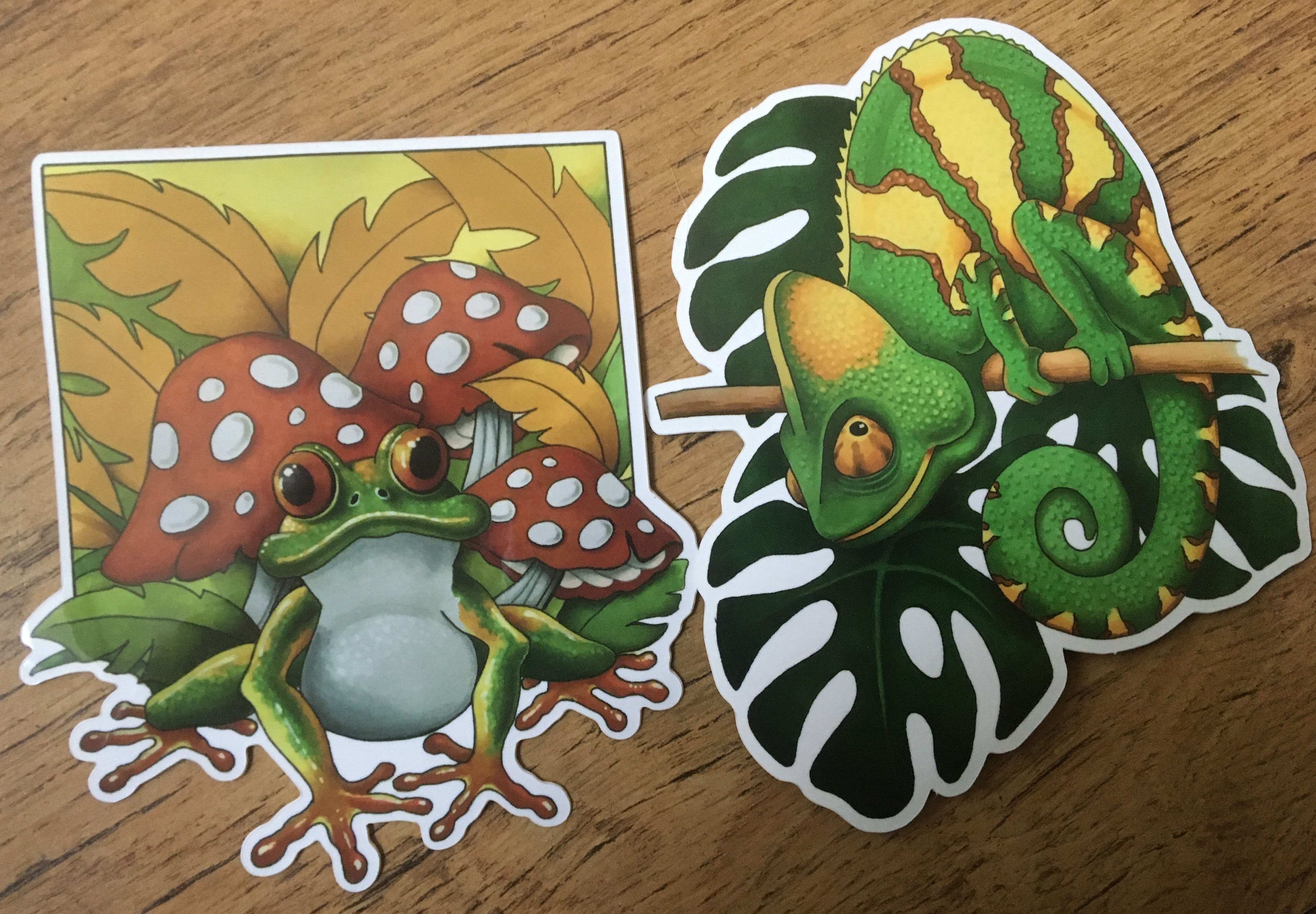 Frog and Chameleon Sticker Twin Pack