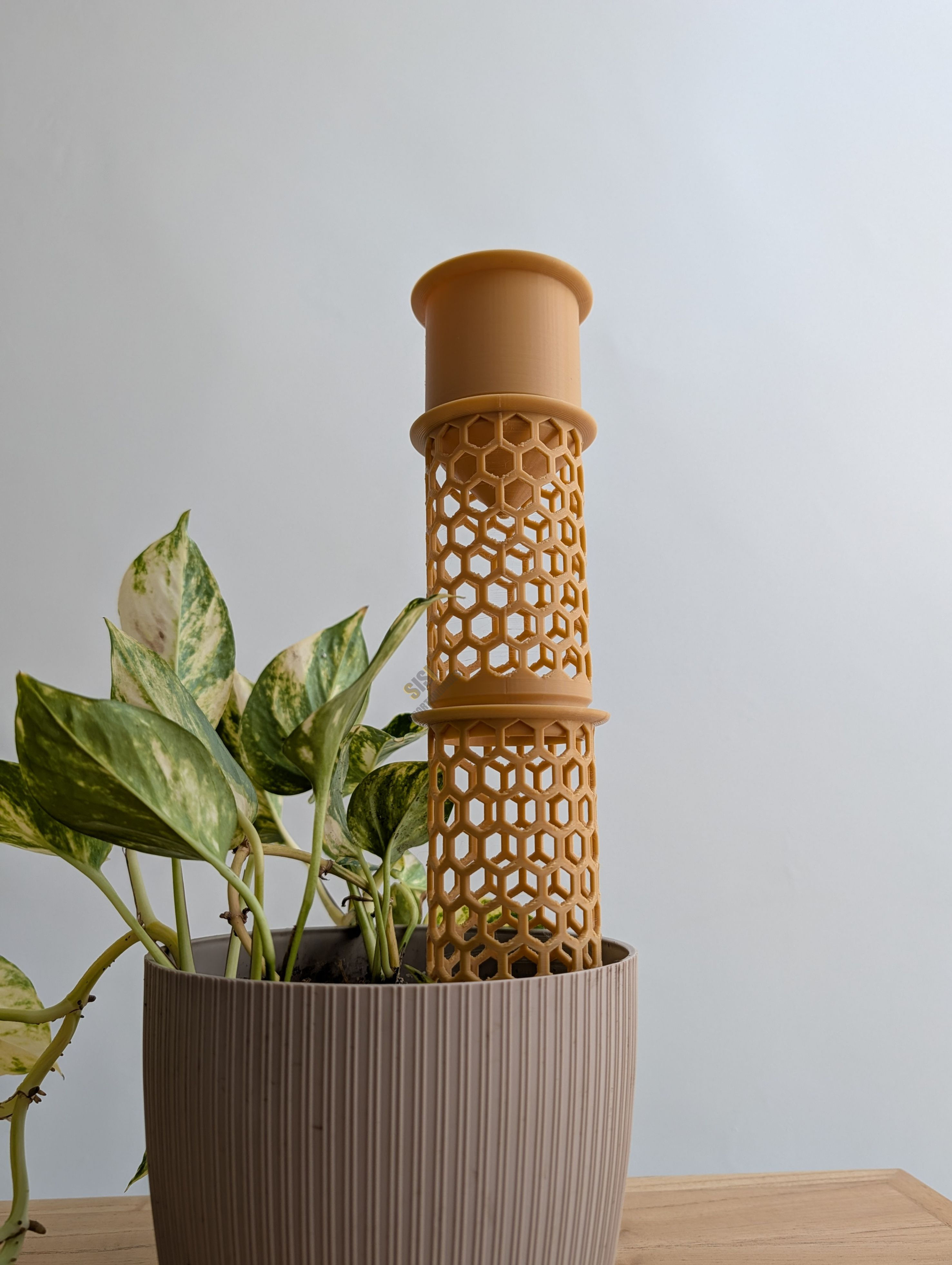 Tutor Para Plantas Trepadoras Con Riego Moss Pole Modular